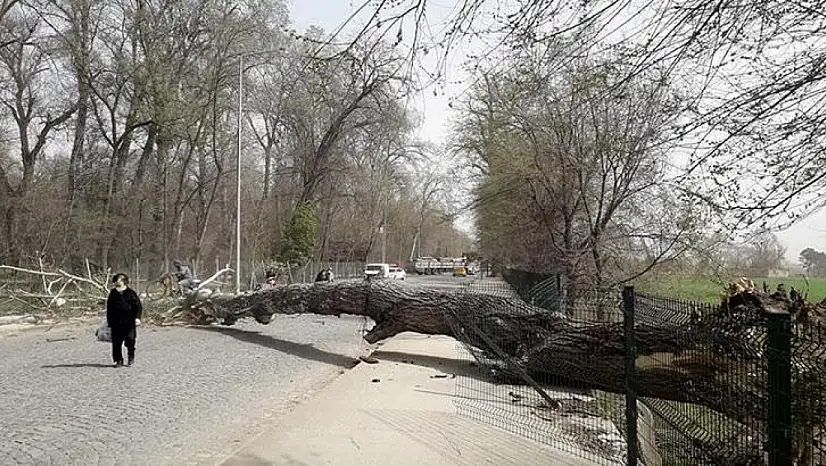 Kayseri'de kuvvetli rüzgâr ve fırtına alarmı