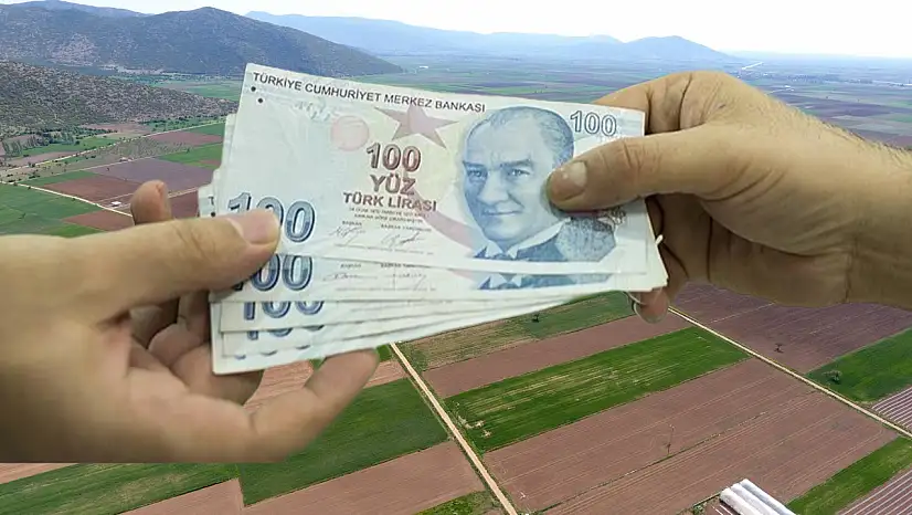 Kayseri'de o afeti yaşayan çiftçilere destek! Bakın kimler yararlanacak?