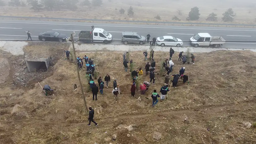 Kayseri'de o bölgenin rengi değişiyor! Bin 200 tane ekildi