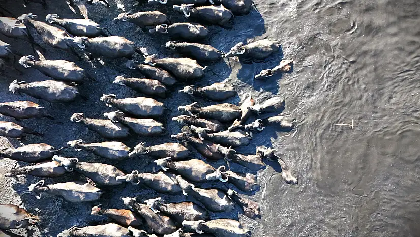 Kayseri'de sıcaklıklar -15 dereceyi gösterdi! Hürmetçi Sazlığı'ndaki manzara büyüledi