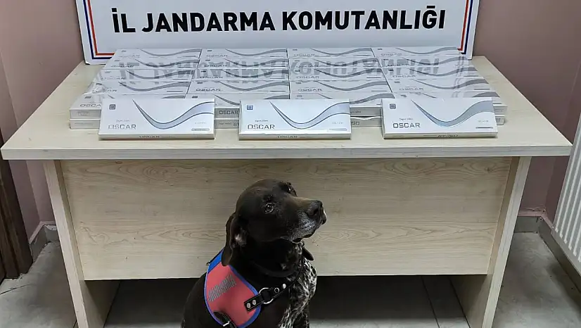 Kayseri'de yüzlerce paket ele geçirildi