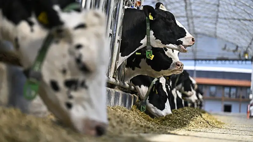 Kayseri'deki işletmelerde yeni dönem başlıyor