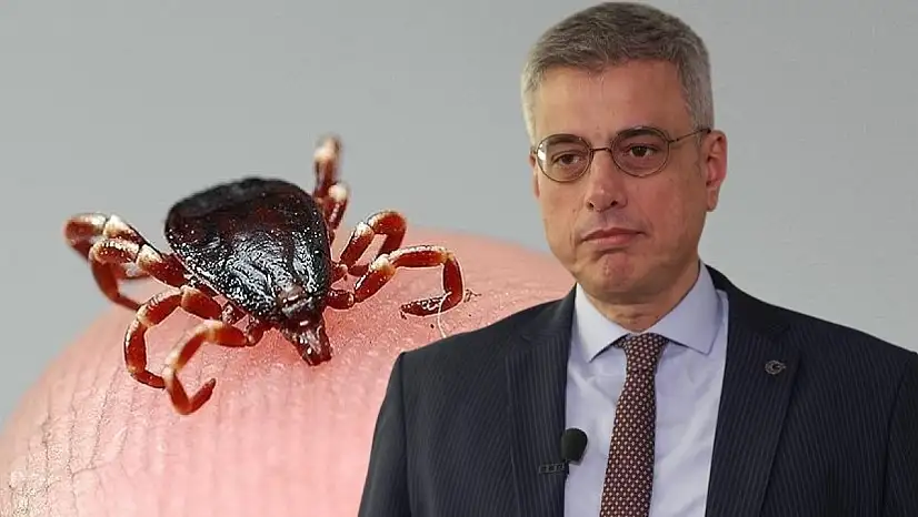 Kayseri'deki kene kabusu bitiyor mu? Bakan müjdeyi verdi