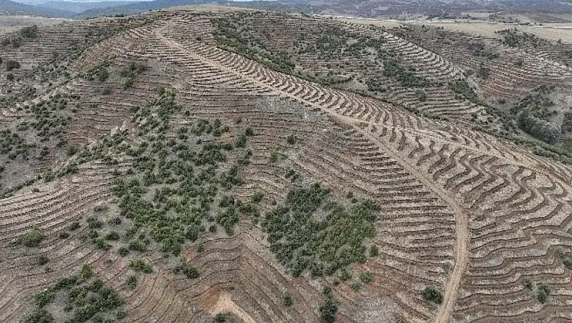 Kayseri'deki müdürlük açıkladı! Milyonluk hibe desteği