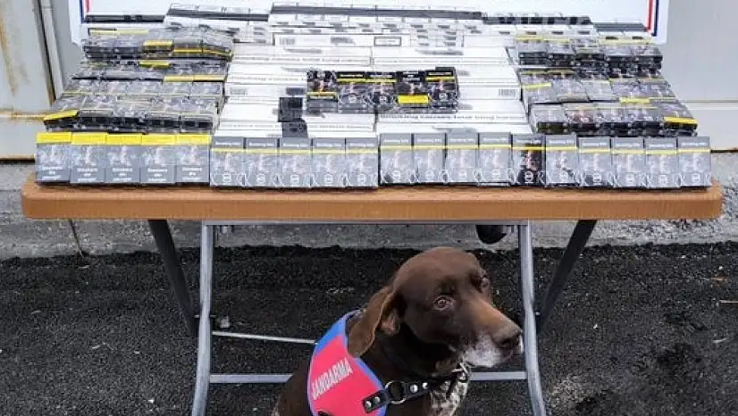 Kayseri–Malatya yolunda bir tırda bakın neler ele geçirildi?