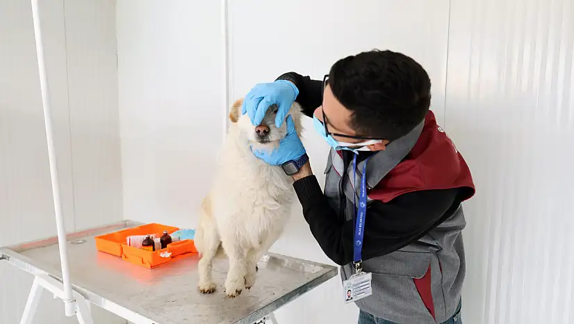 Kayseri'nin takdir toplayan merkezi! 500 cana yuva oldu