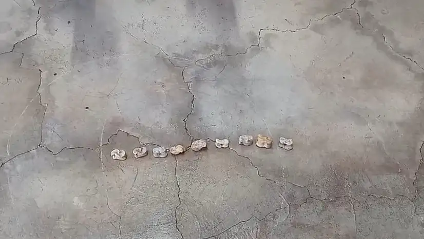 Kayseri'nin unutulan oyunu! Bakın nasıl oynanıyor?