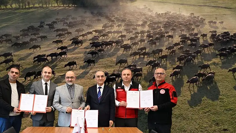 Kayseri o sektörde söz sahibi olacak! 'Şehirden köye dönüş başlayacak'