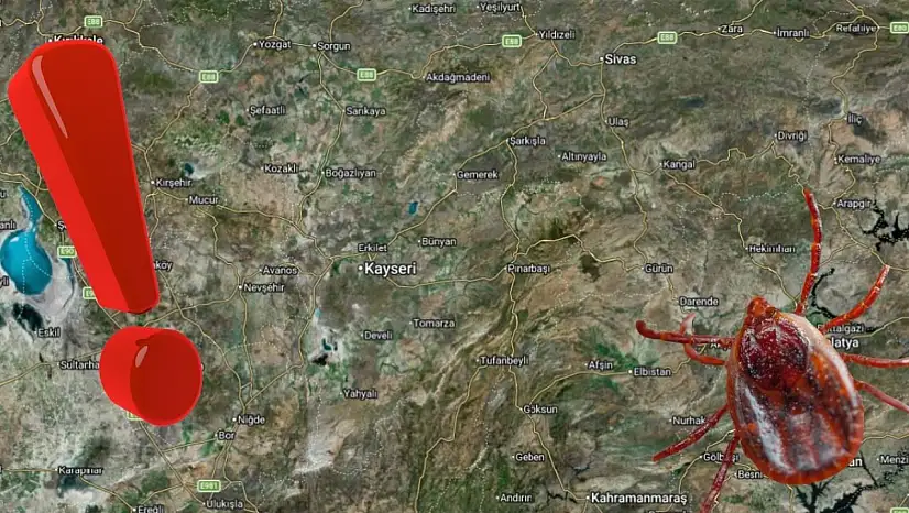 Kayseri ve çevresi dikkat! Kene 9 can aldı