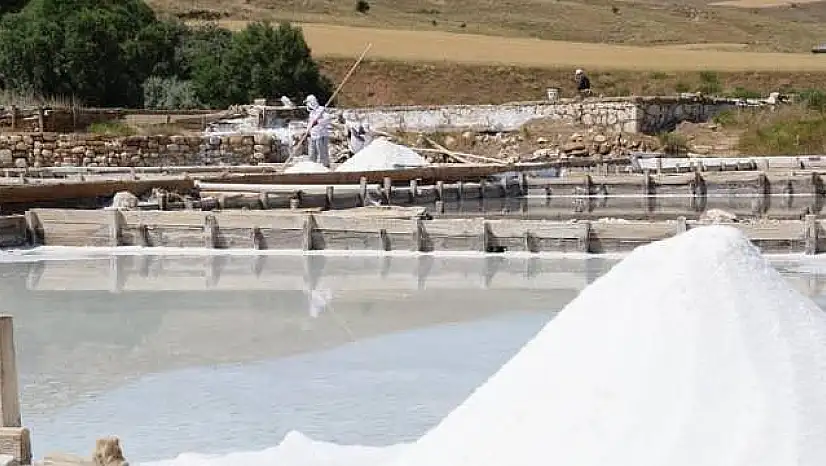 Kayseri'ye 4 bin ton beyaz altın alınacak!