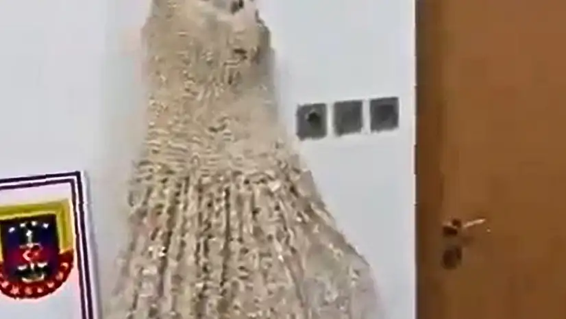 Kayseri'ye gelinlikle 25 kilogram uyuşturucu sokmaya çalıştılar! Bakın nasıl ortaya çıktı