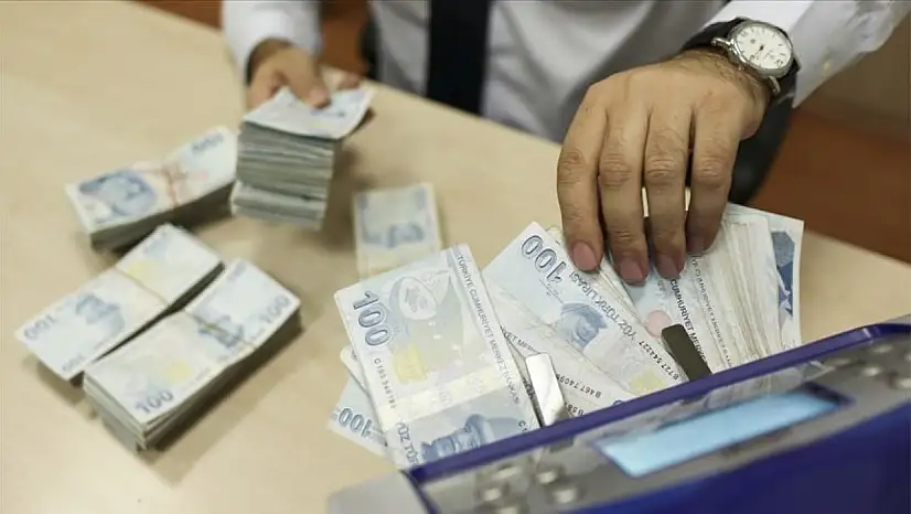 Kayseri'ye müjdeli haber geldi: Destek ödemeleri hesaplara yattı