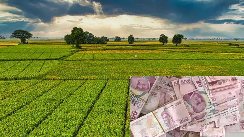 Kayserili çiftçiye nefes aldıracak destek açıklandı