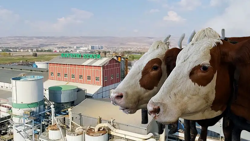 Kayserili şirketten yatırım iptali! O proje planlardan çıkarıldı