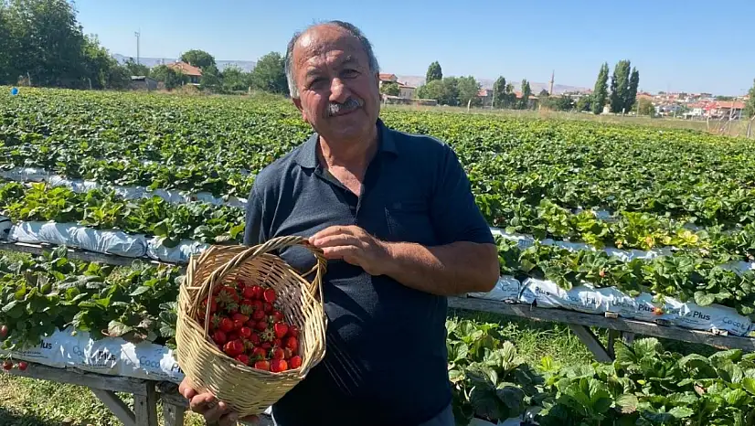 Kayserili üretici çileğin sırrını anlattı: En çok buna dikkat edin