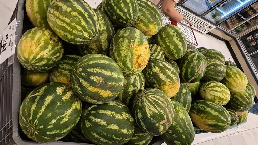 Kayserili vatandaşlar yapay zekaya karpuz seçtiriyor! İşte püf noktası…