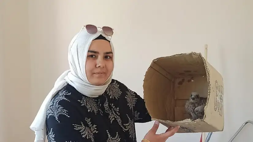 Kerkenez kurtarıldı!
