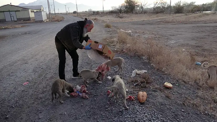 Kete ve simitle 8 mahallenin hayvanlarını besliyor