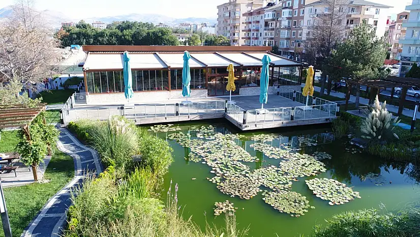 Kocasinan Belediyesi'nin o kafesindeki gözdeler