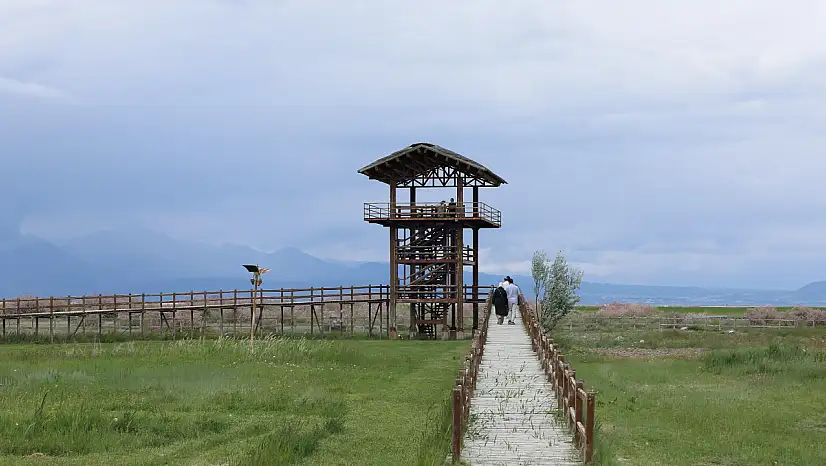 Kuş cennetinde kuraklık bitti, yaşam başladı