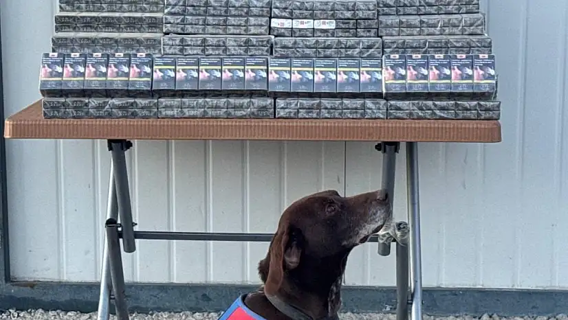 Mardin'den Kayseri'ye gelen TIR'da  binlerce paket ele geçirildi