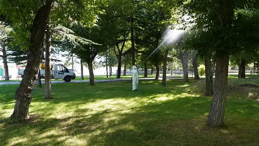 Melikgazi Belediyesi larva ve haşeralarla mücadelede!