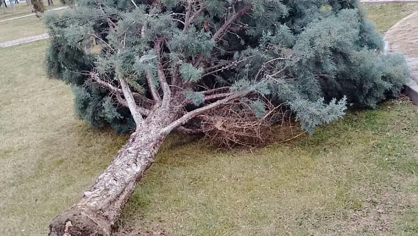 Meteoroloji'den Kayseri'ye kritik uyarı: 'Kuvvetli' olacak