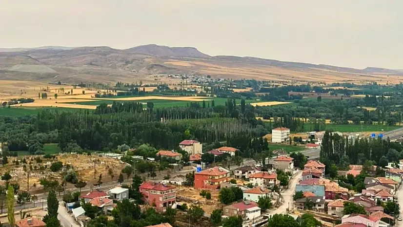 Pınarbaşı'da yetişen 6 otla ilgili iddia! İncelemeye alındı