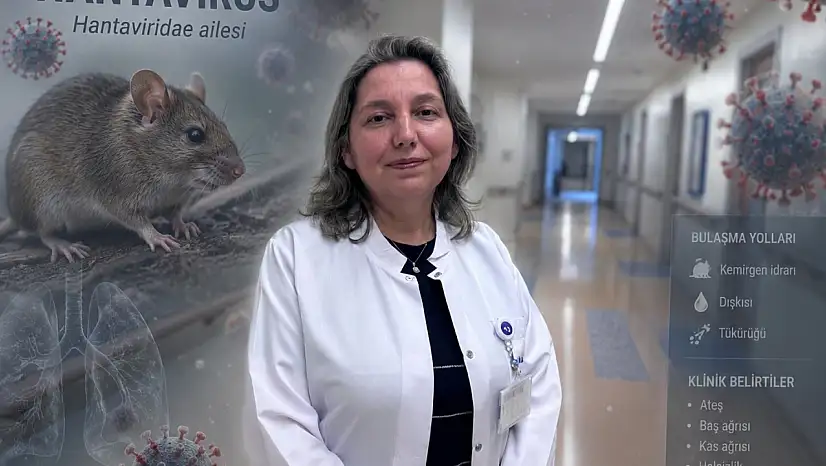 Prof. Dr. Yasemin Ersoy'dan hantavirüs uyarısı!