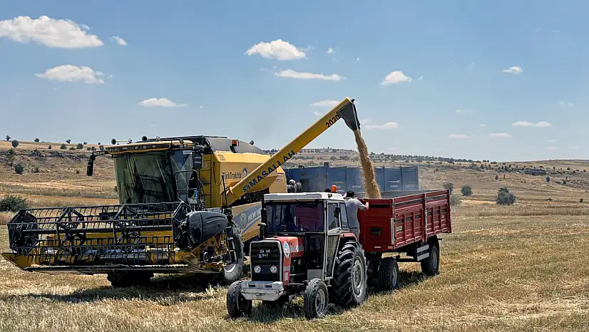 Talas Belediyesi ekti, biçti, kendi hizmetinde kullandı: 8 dekardan 2,7 ton ürün çıktı!