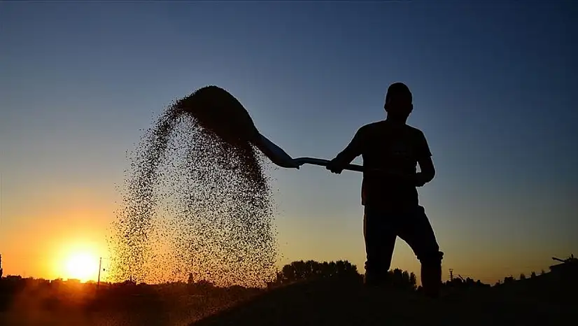 Toprağa bereket, çiftçiye destek! İşte ödemelerin detayları