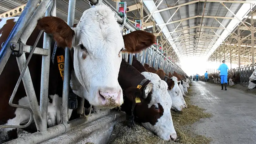 Üretici istedi, Ankara onayladı: O şart kaldırıldı!