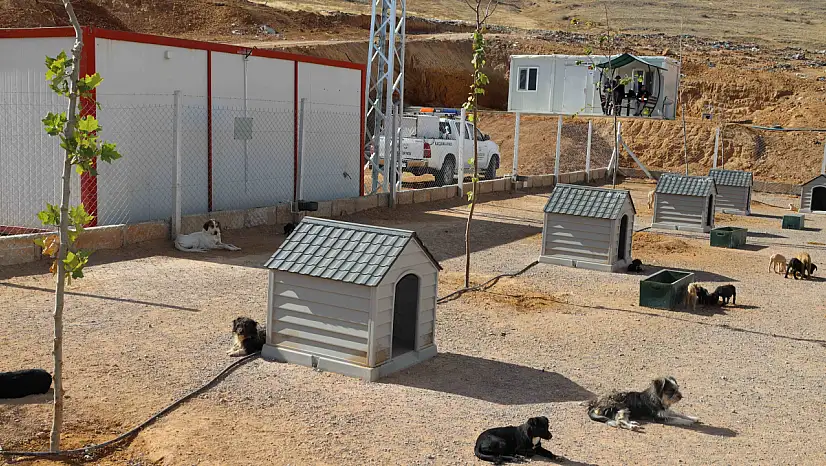 Yahyalı'da o alan kullanıma açıldı!