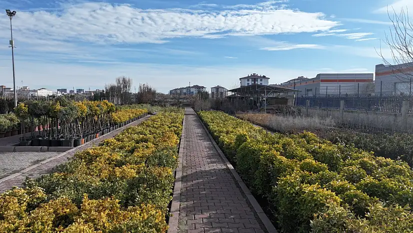 Yeşil dönüşümün kalbi Kocasinan'da atıyor