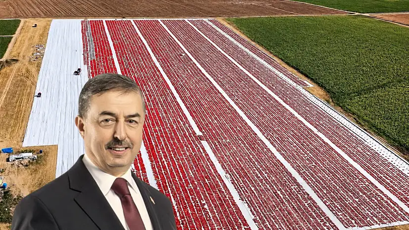 Yeşilhisar'ın kurutulmuş domates üretimi dikkat çekiyor
