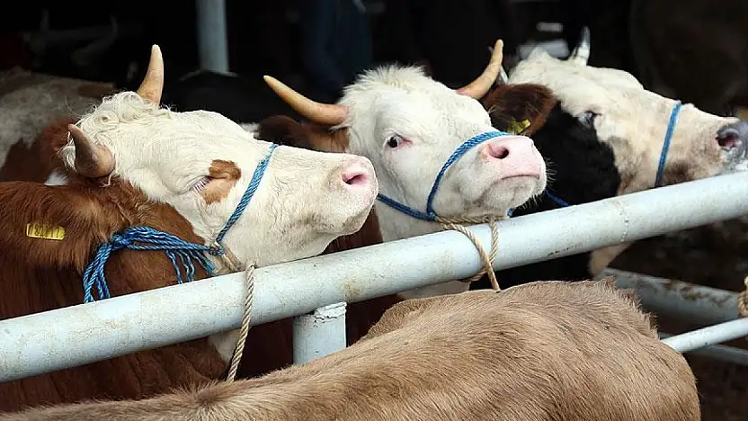 Kayserili üreticiler dikkat! Başvuru tarihleri değişti