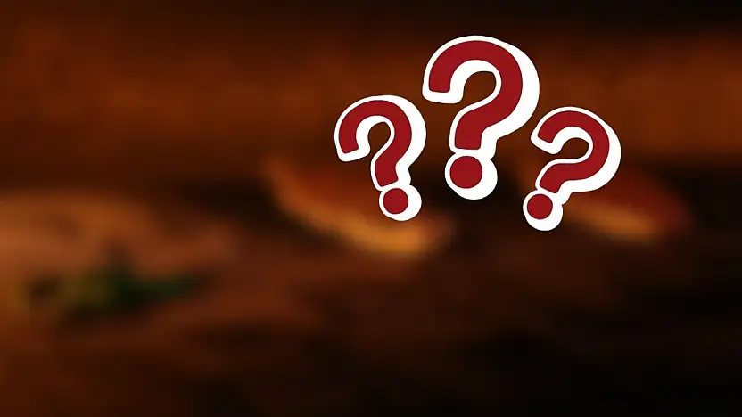 En çok görüntülenenler sıralandı! Kayseri'den listeye bakın ne girdi?