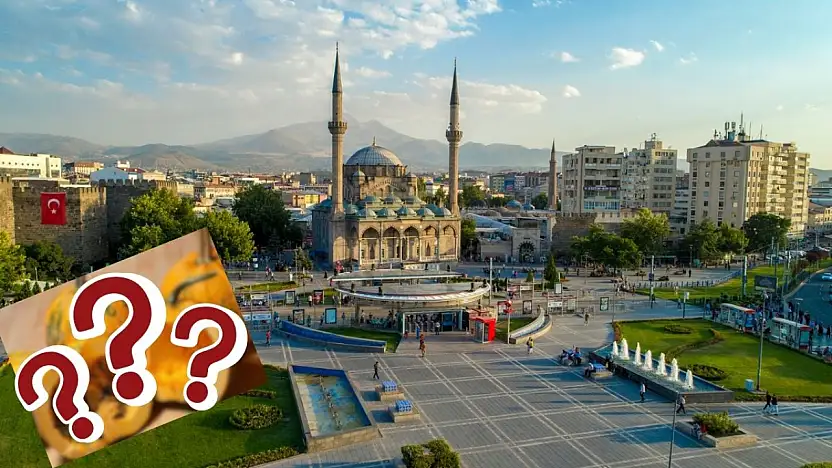 Kabuğu yok, 105 günde hasat ediliyor! Siyah altın Kayseri'de neden üretilmiyor?