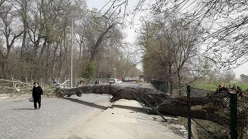 Kayseri'de kuvvetli rüzgâr ve fırtına alarmı