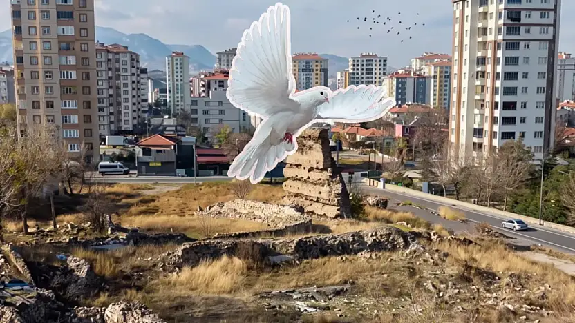 Kayseri'deki Basiliada merak konusu oldu! Mahalleye talih kuşu mu kondu?