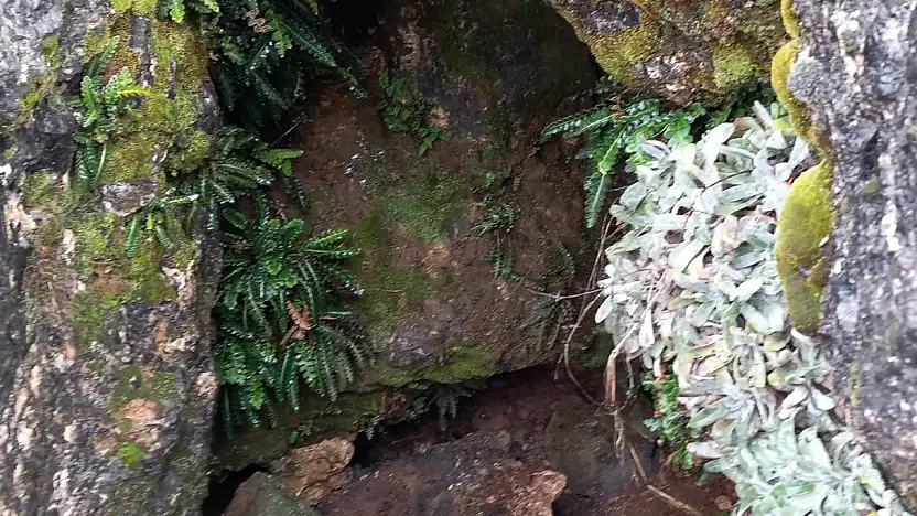 Kayseri'deki mağaradan dumanlar yükseldi! Gerçek yaklaşınca ortaya çıktı