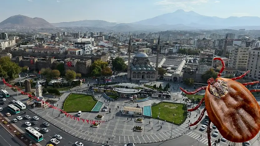 Kayseri ve çevresinde kene alarmı! En riskli alanlar belli oldu