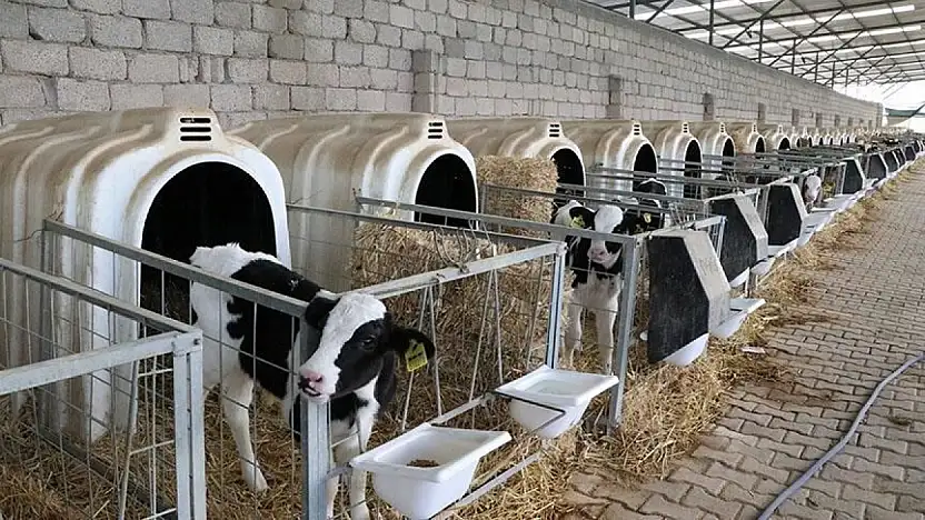 Üreticiye müjde: Destekler yüzde 40 artıyor