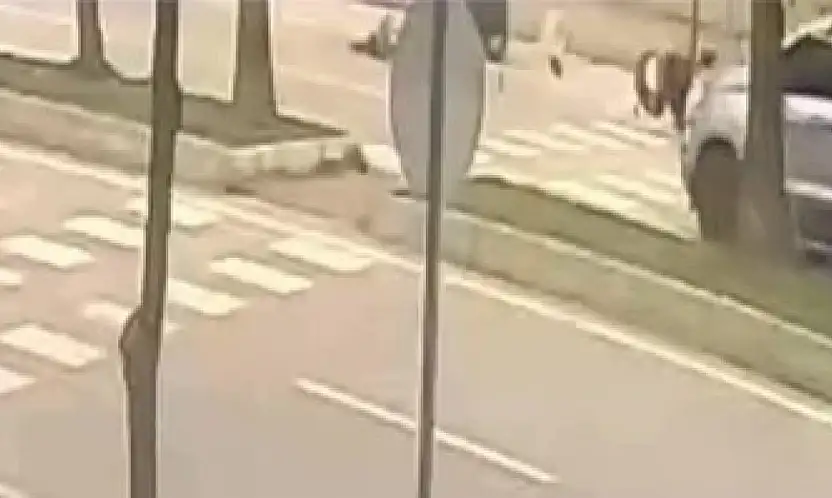 17 aylık bebek hayatını kaybetmişti! Kazanın görüntüleri ortaya çıktı