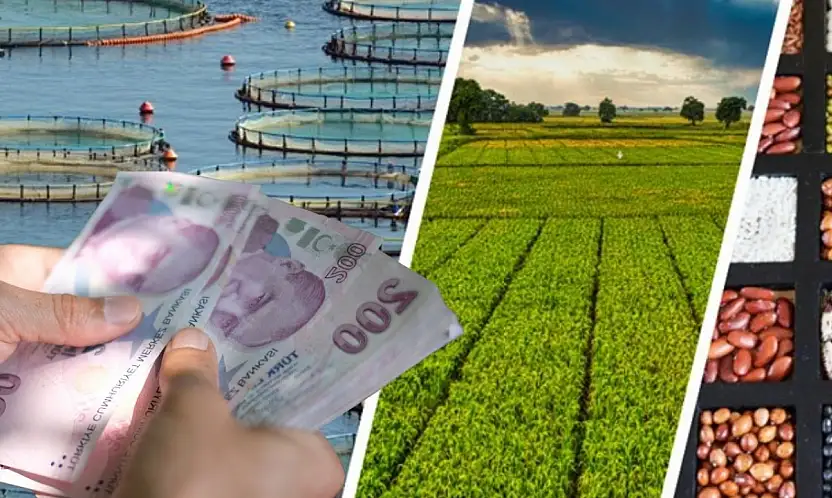 Bakanlık açıkladı: Çiftçilere rekor ödeme