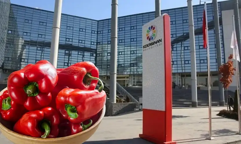 Belediye ücretsiz tohum dağıtacak