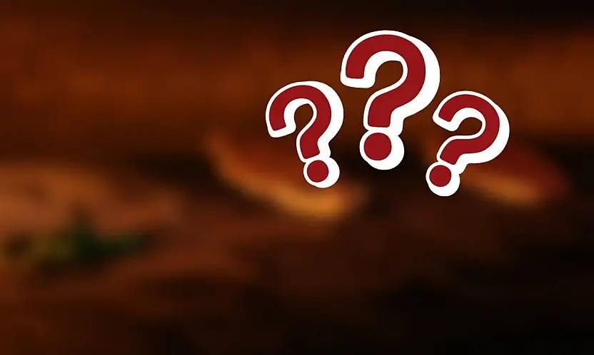 En çok görüntülenenler sıralandı! Kayseri'den listeye bakın ne girdi?