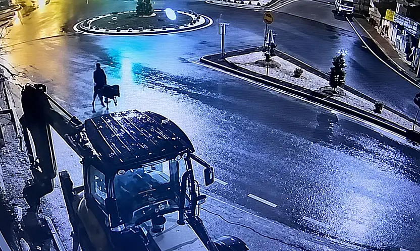 Eşekli hırsızın cezası belli oldu!