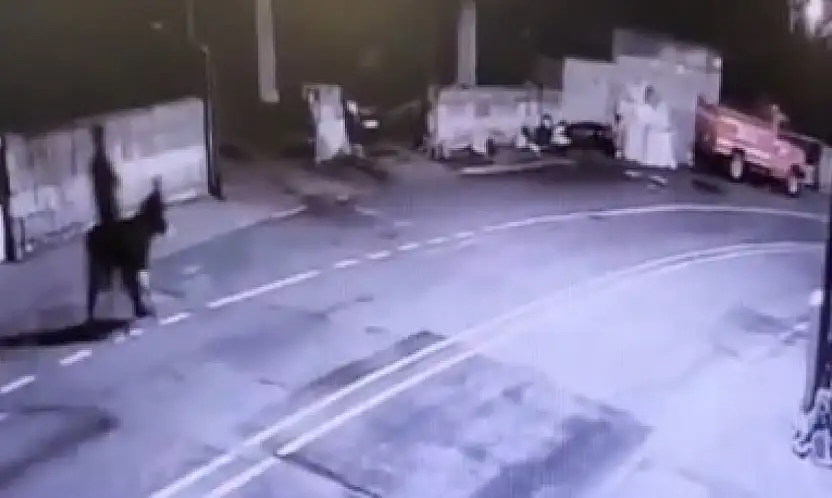 Forkliftle sarraf hırsızlığında 'eşek' detayı!