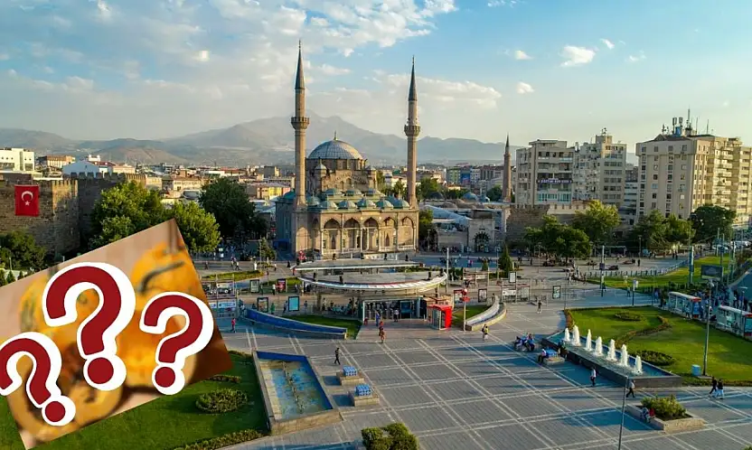 Kabuğu yok, 105 günde hasat ediliyor! Siyah altın Kayseri'de neden üretilmiyor?